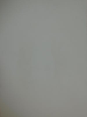 Jean-Paul Cleren - Le visage gris kopen? Bied vanaf 15!