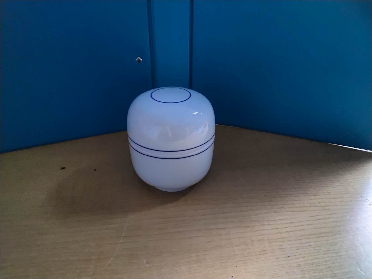 Leen Quist - Dekselpot kopen? Bied vanaf 250!