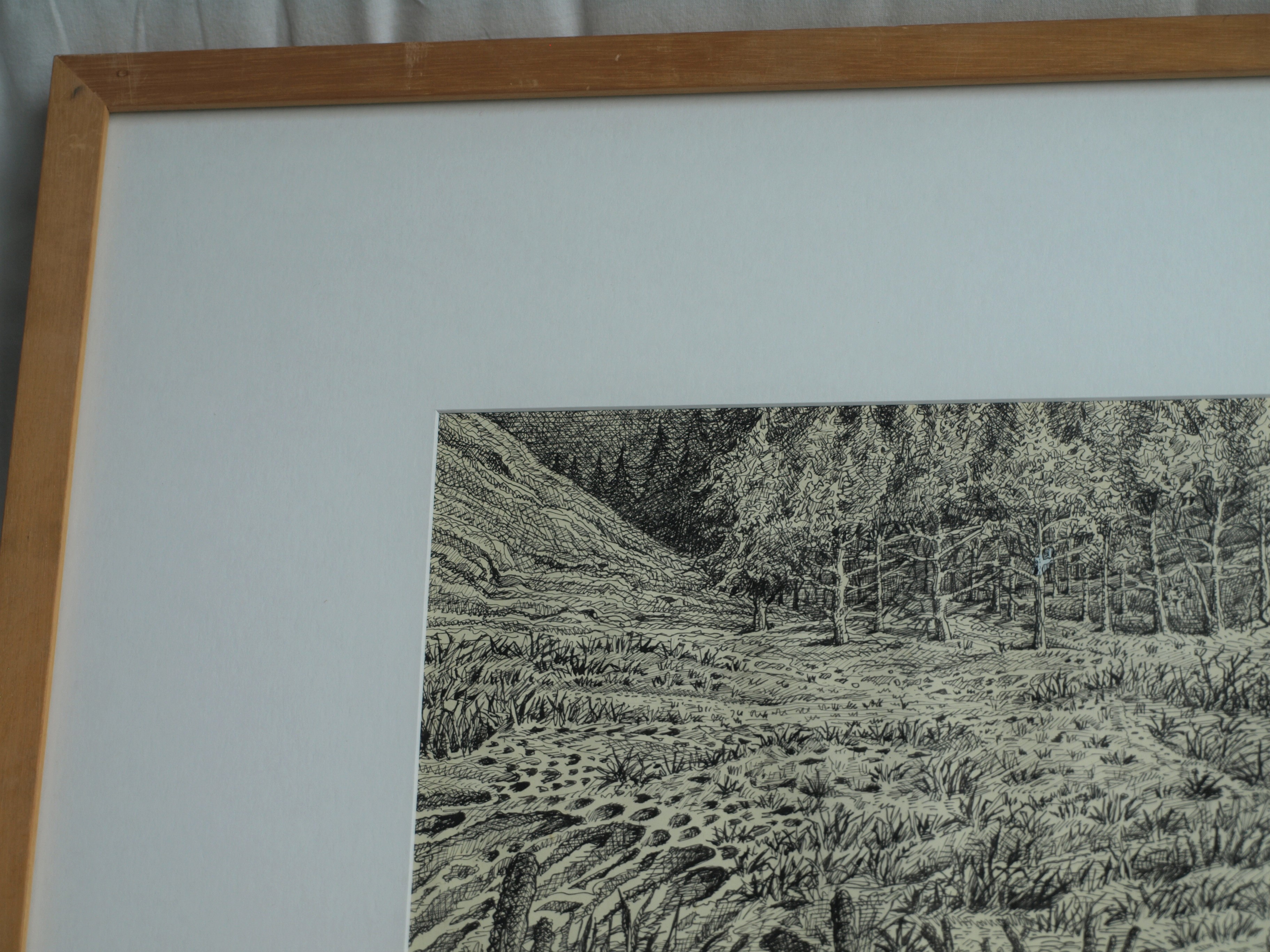 Hans Boon - Pentekening , Duinlandschap – gesigneerd & ingelijst – ca 1977  kopen? Bied vanaf 1!