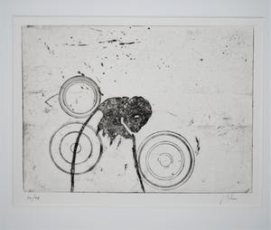 Johan Tahon - ____ Tideride-Mindfield ____ ets - oplage 48 kopen? Bied vanaf 250!