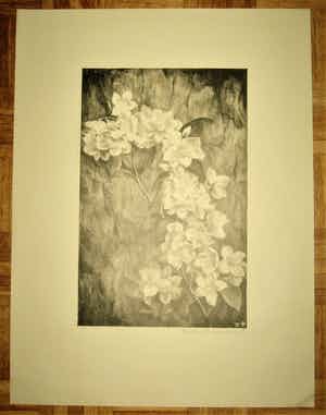 Aart van Dobbenburgh - 'Bloemen' verkocht voor € 45!