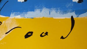 Herman Brood - Amerikaanse voetbal kopen? Bied vanaf 85!