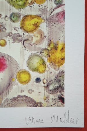 Marc Mulders - Abstracte compositie, piëzografie kopen? Bied vanaf 250!