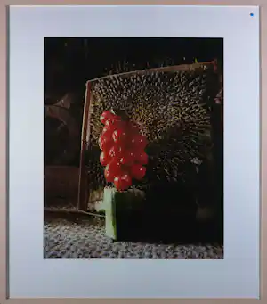 Rommert Boonstra - Fotografie, Z.T - Ingelijst vendu pour 40€ !