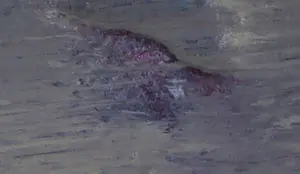 Cobi Nieuwstad - Acryl op doek, Ontwaken kopen? Bied vanaf 1!