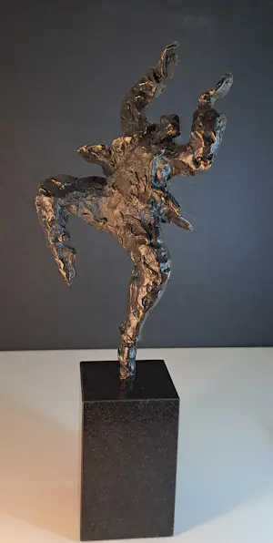 Wim Heesakkers - Dance kopen? Bied vanaf 50!