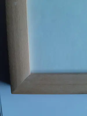 Alexander Lichtveld - Aquarel, Paus. kopen? Bied vanaf 40!