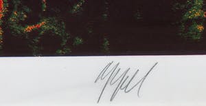 Karel Appel - Saturday uit de serie Seven Summer Days - Ingelijst kopen? Bied vanaf 1!