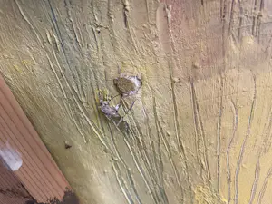 Eric Mathijssen - Olieverf op doek, Zonder titel kopen? Bied vanaf 100!