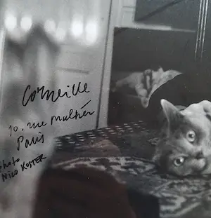 Corneille - Corneille en zijn Kat in Parijs kopen? Bied vanaf 250!