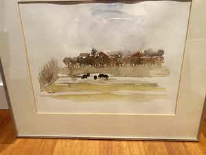 Sonja Dwinger - Wisenten in Amsterdamse Bos verkocht voor € 50!