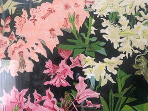 Vincent van Ojen - Rhododendron kopen? Bied vanaf 80!