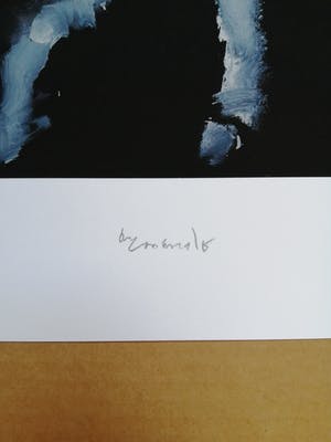 Armando - Handgesigneerde Giclée - Het regent - Oplage 25 kopen? Bied vanaf 1!
