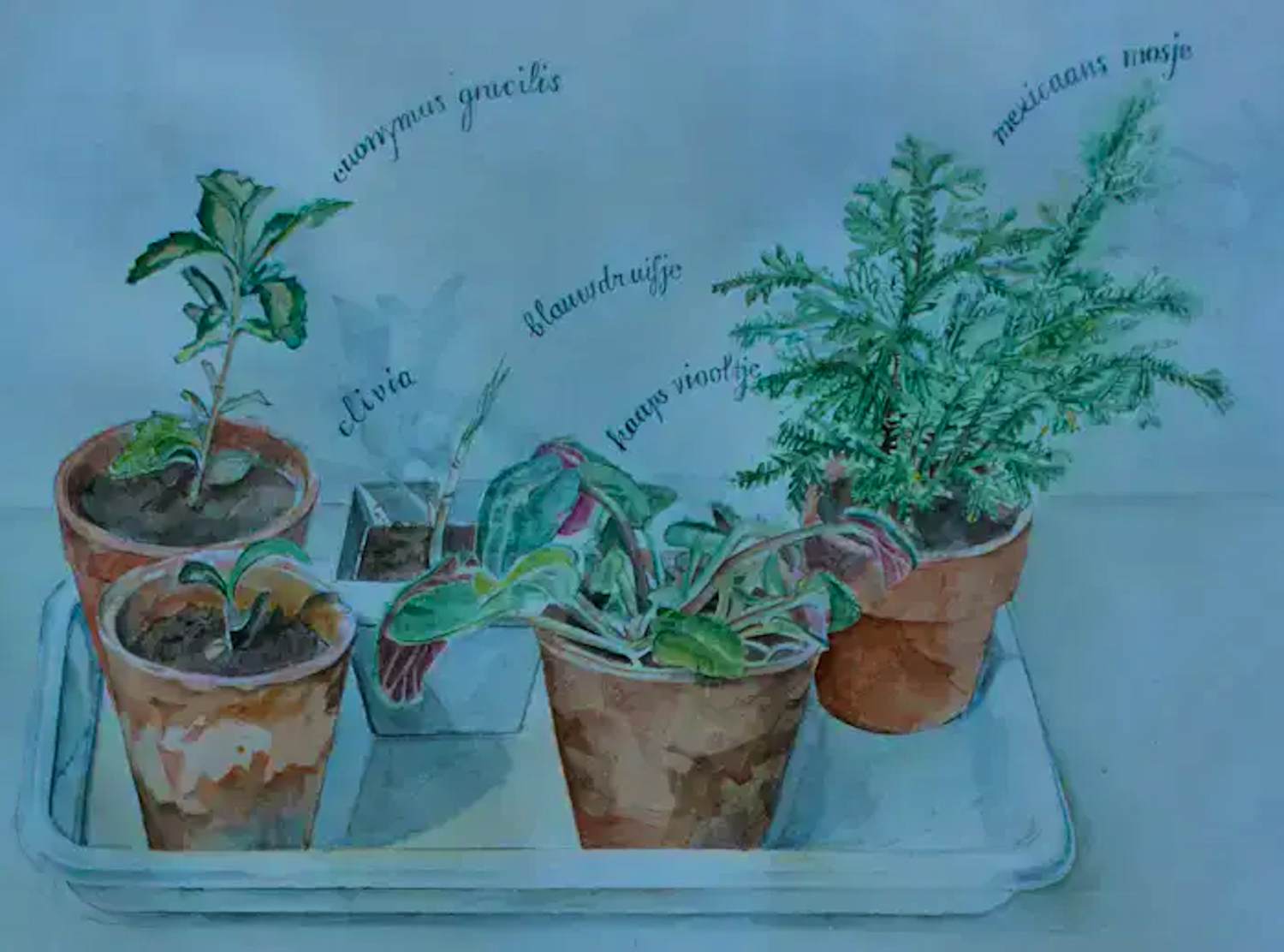 Jacobien de Rooij - Aquarel: Nieuw leven - 1972 kopen? Bied vanaf 49!