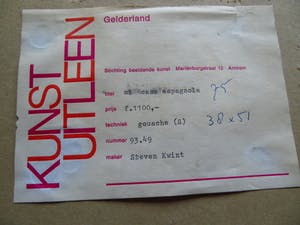 Steven Kwint - Mi Casa Espagnola kopen? Bied vanaf 145!