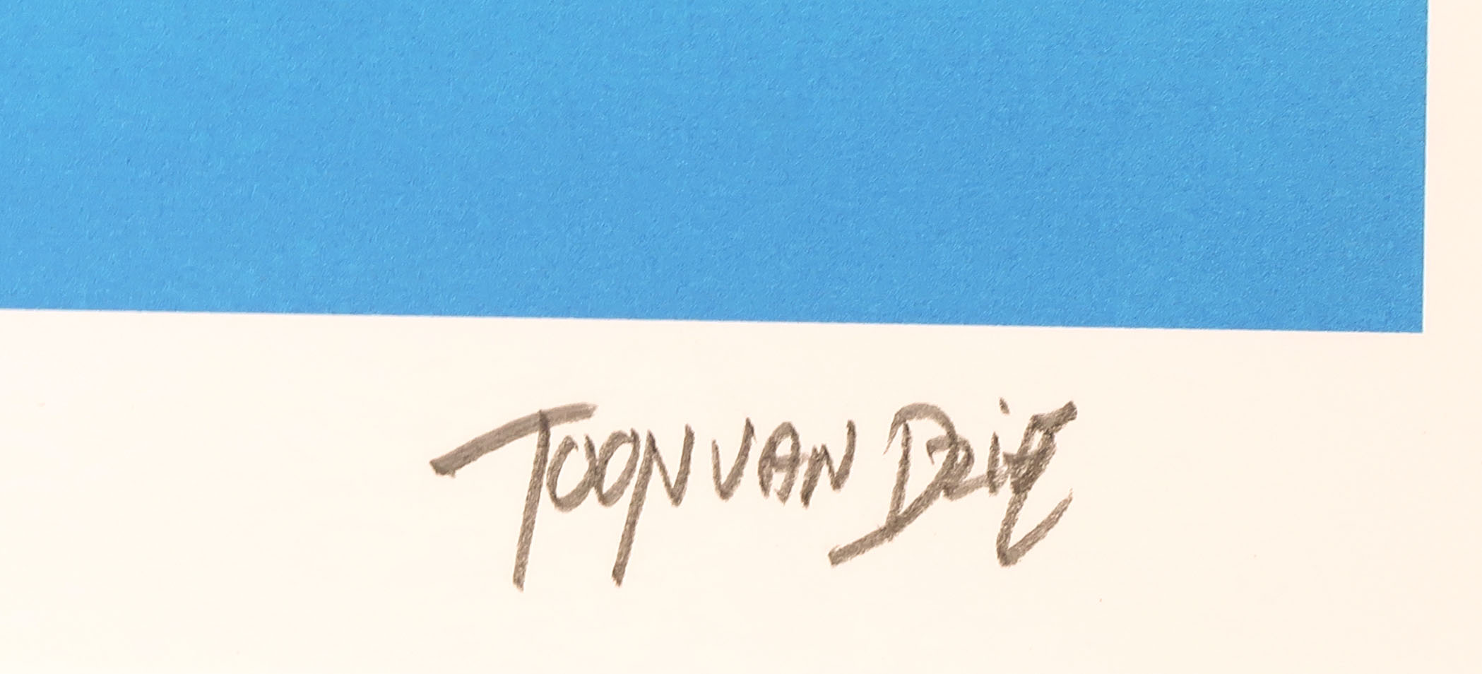 Toon van Driel - Zeefdruk, Olifant (Groot) kopen? Bied vanaf 35!