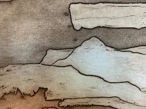 Jan Montyn - handgesigneerde litho | 'Vallée de Merveille III' | 1997 (INGELIJST) kopen? Bied vanaf 100!