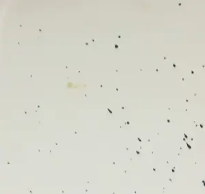 Anton Heyboer - Gouache, Abstracte compositie - Ingelijst (Groot) kopen? Bied vanaf 250!