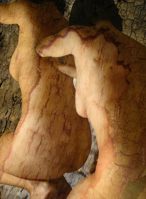 Jack Vissers - Photographica nr. 14 kopen? Bied vanaf 45!