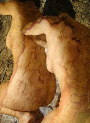 Jack Vissers - Photographica nr. 14 verkocht voor € 45!