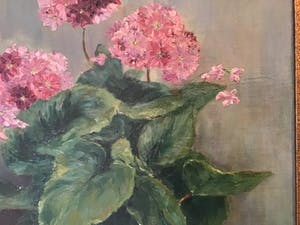 Felicien Bobeldijk - Bloemen in Vaas kopen? Bied vanaf 50!