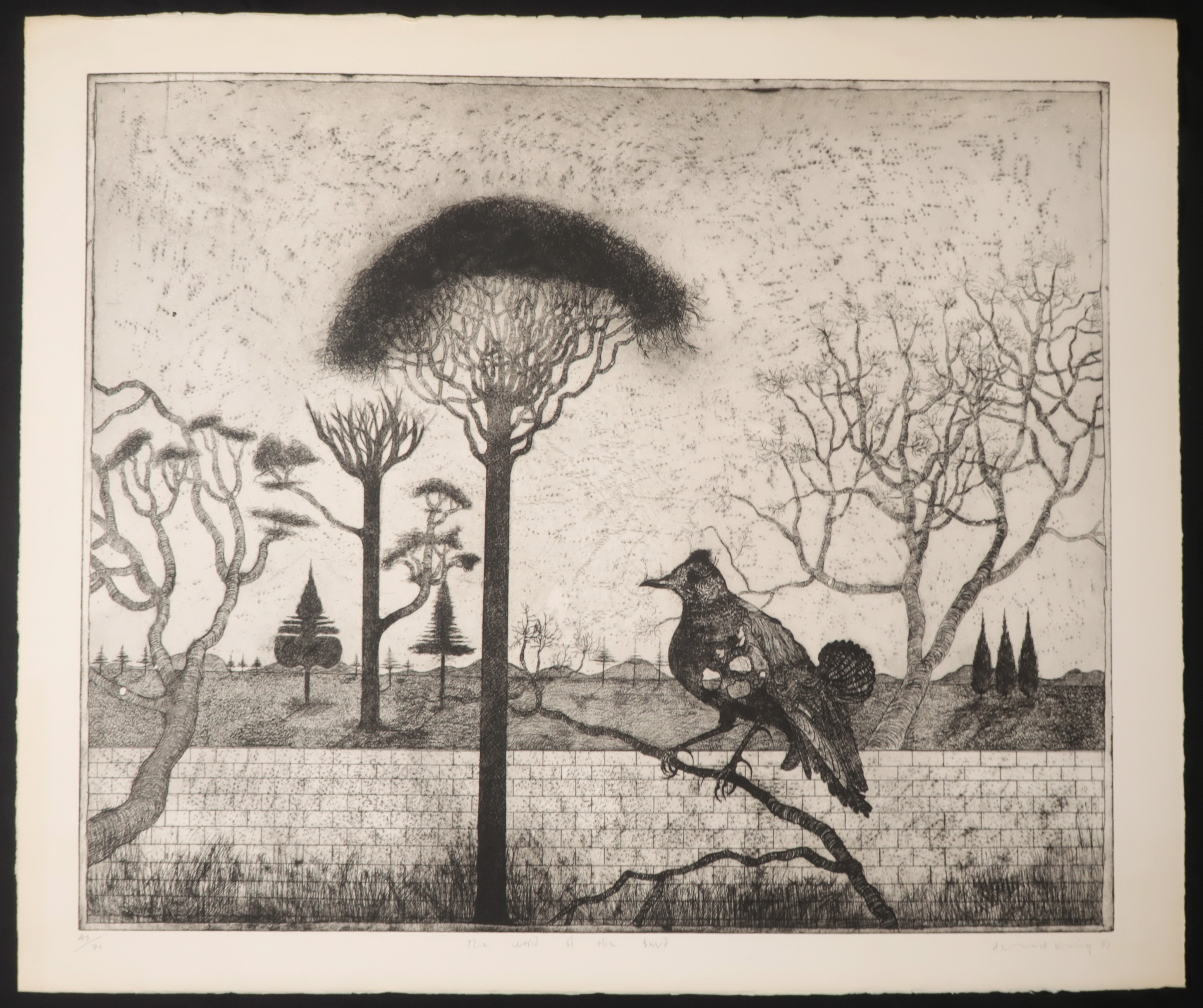 David King - Ets, The world of the bird kopen? Bied vanaf 1!