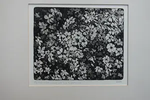 Paulien Wittenrood - GIPSKRUID kopen? Bied vanaf 35!