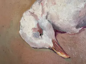 Dirk Trap - Doode meeuw kopen? Bied vanaf 225!