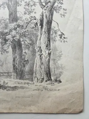 Barend Cornelis Koekkoek - Bomen. Litho. kaufen? Bieten Sie von 20!