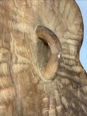 Songye - 200403 - African KIFWEBE shield from the Songye - Congo. kopen? Bied vanaf 45!