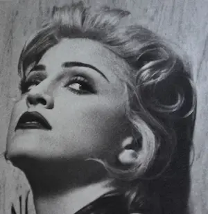 Steven MEISEL - MADONNA - SEX - WARNING !! ADULTS ONLY! kopen? Bied vanaf 195!