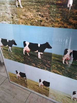 Jan Cremer - Hollands landschap in cresendo en decresendo [zeer groot] kopen? Bied vanaf 325!