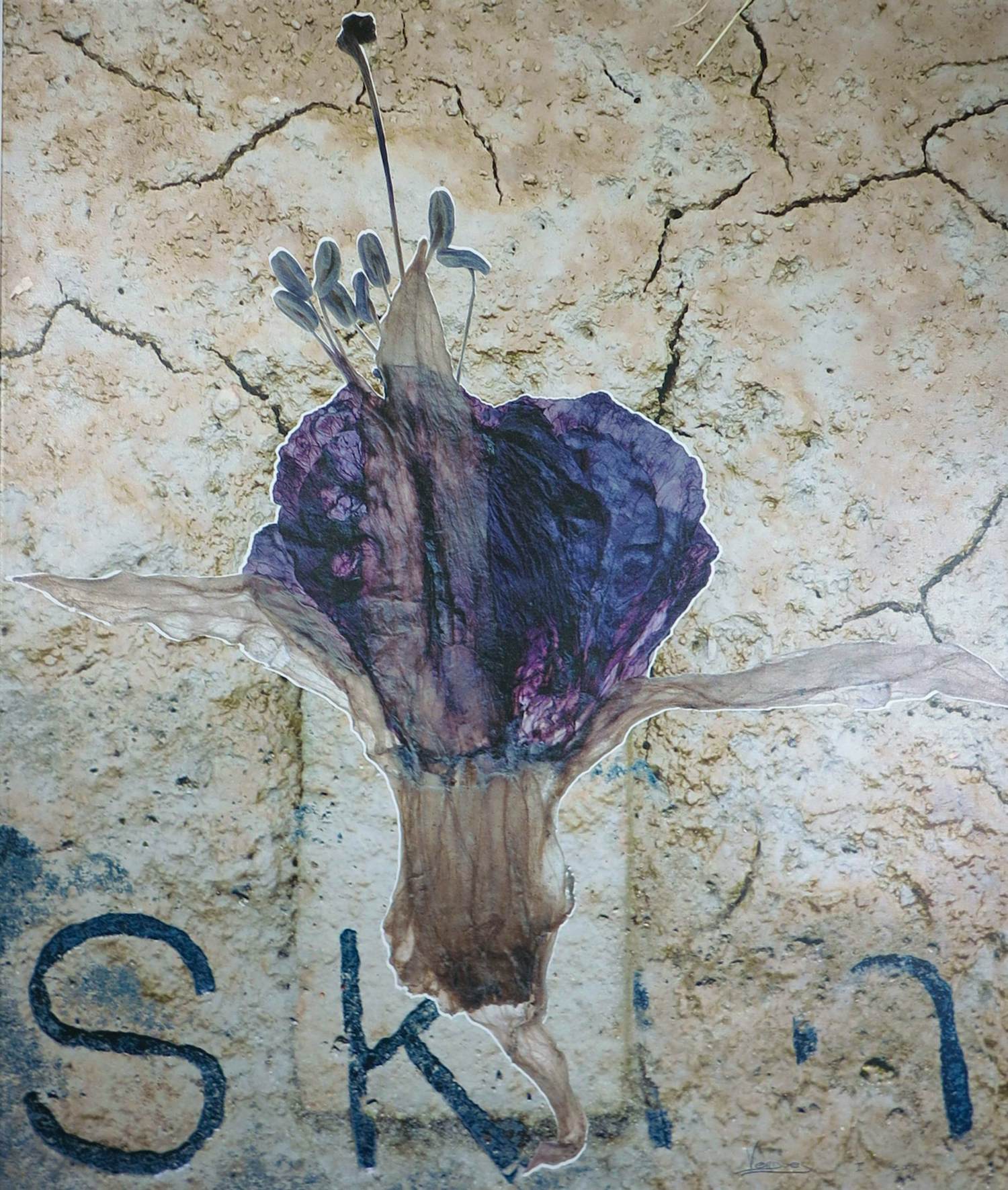 Mark Verdoes - Fotocollage (gedrukt) op doek, Skin III kopen? Bied vanaf 50!