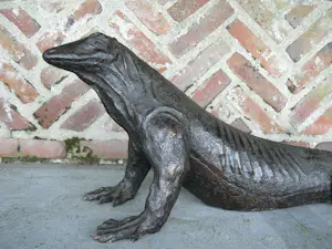 Peter Petersen - Komodo Varaan (uniek!) kopen? Bied vanaf 2895!