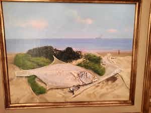 Antoon Luyckx - Aangespoelde vis Nieuwpoort verkocht voor € 15!