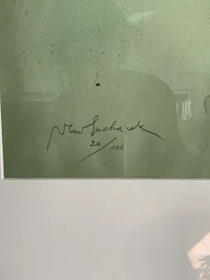 Vladimir Suchanek - Gevleugeld Figuur kopen? Bied vanaf 50!