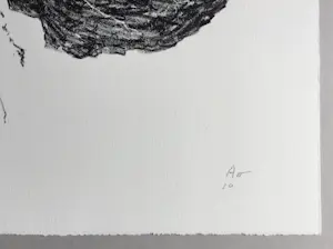 Armando - handgesigneerde litho | 'Das Blatt' | 2010. kopen? Bied vanaf 250!