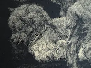 Dirk Homberg - 3x Litho , “Geitjes” – ca 1935 kopen? Bied vanaf 25!