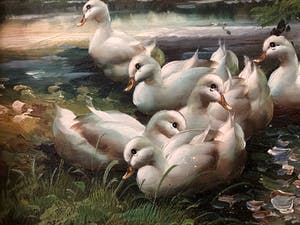 Niet of onleesbaar gesigneerd - Eendjes aan de waterkant kopen? Bied vanaf 10!