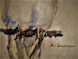 Niet of onleesbaar gesigneerd - Fraaie omstreeks 1920 te dateren Aquarel "Kuif Kaketoe" gesigneerd kopen? Bied vanaf 1!