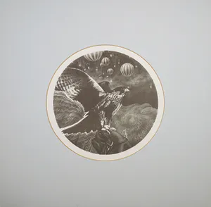 Gerbrand Bierenga - Litho, Enkel een gevoel van vliegen kopen? Bied vanaf 1!