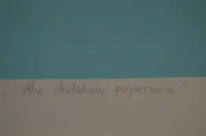 Ans Lemmens - the kitchen experience. kopen? Bied vanaf 60!