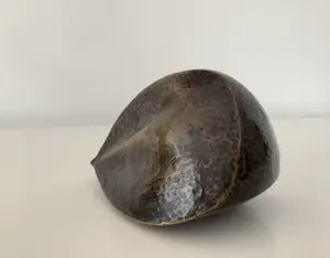 Brons (Onbekend) - Organische vorm kopen? Bied vanaf 95!