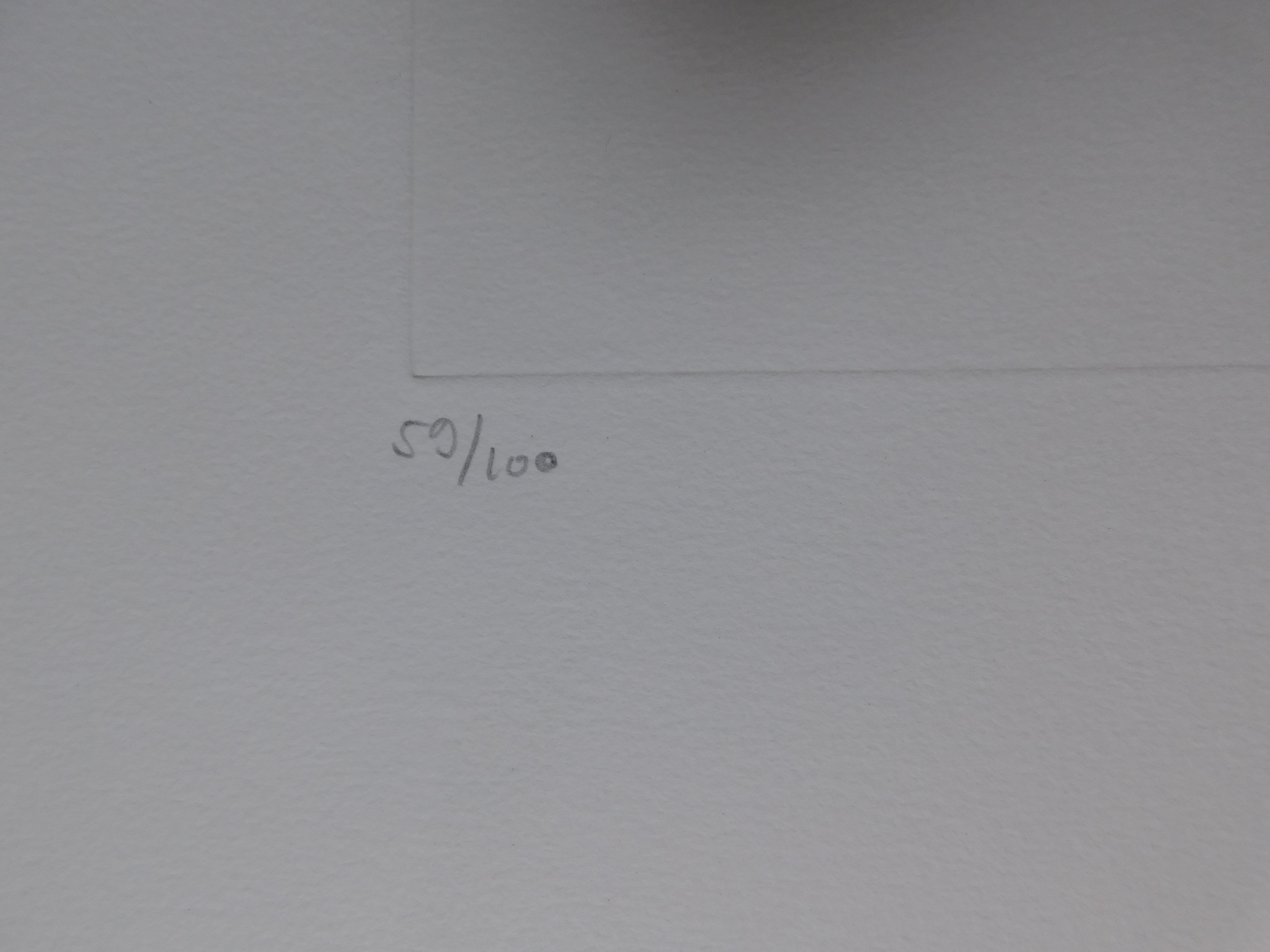 Leonor Fini - La Sorcière sur le Balai kopen? Bied vanaf 60!