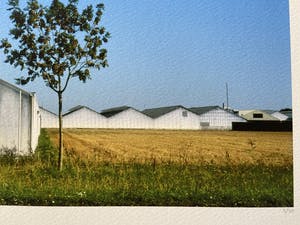 Anton Staartjes - zonder titel kopen? Bied vanaf 15!