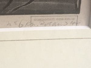 Theo van Hoytema - Mooie vogels kopen? Bied vanaf 10!