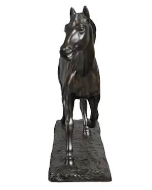 Irénée Rochard - Paard in draf kopen? Bied vanaf 2000!