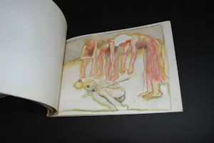 Toer van Schaijk - 2 boeken, o.a. tekeningen bij choreografie 'Landschap' genummerd 533/2200 kopen? Bied vanaf 60!