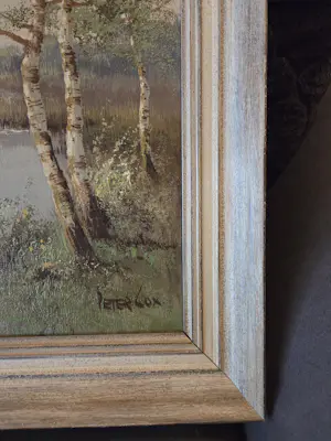 AcheterPeter Cox - landschap? Enchérissez de 90!