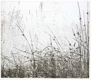 Reinder Homan - Ets, Gezicht op veldbloemen verkocht voor € 60!